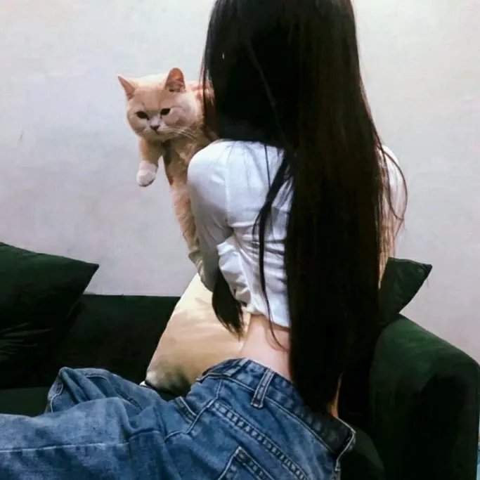 雾夜情杀案 在线观看
